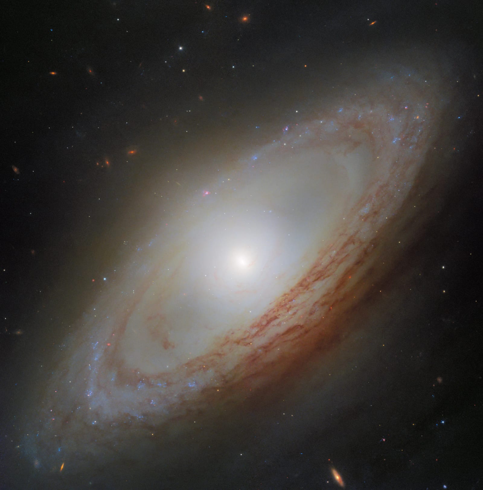 Спиралната галактика NGC 4698 сияе на това изображение от космическия телескоп „Хъбъл“ на НАСА и ЕКА. ESA/Hubble & NASA, D. Thilker, екипът на MAUVE-HST
